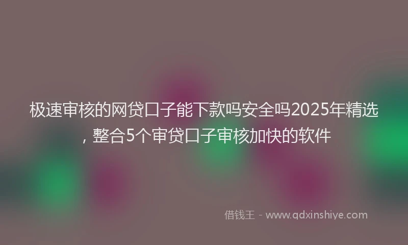极速审核的网贷口子能下款吗安全吗2025年精选，整合5个审贷口子审核加快的软件