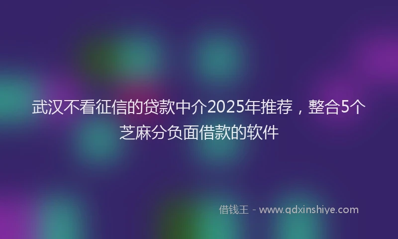 武汉不看征信的贷款中介2025年推荐，整合5个芝麻分负面借款的软件
