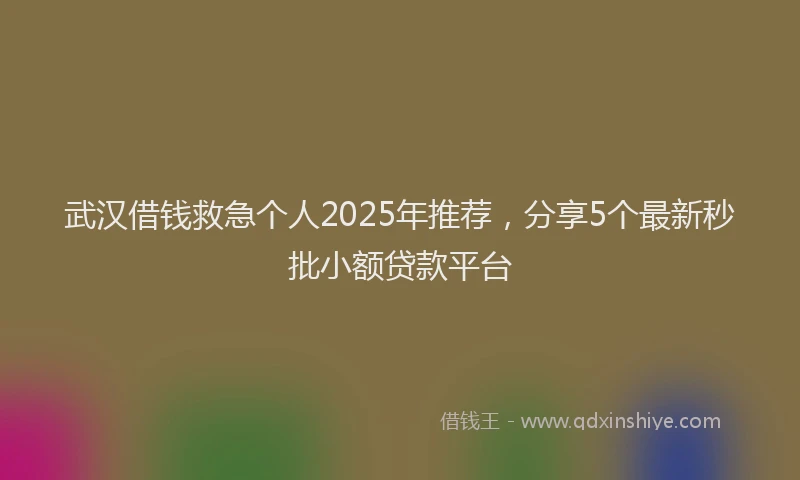 武汉借钱救急个人2025年推荐，分享5个最新秒批小额贷款平台