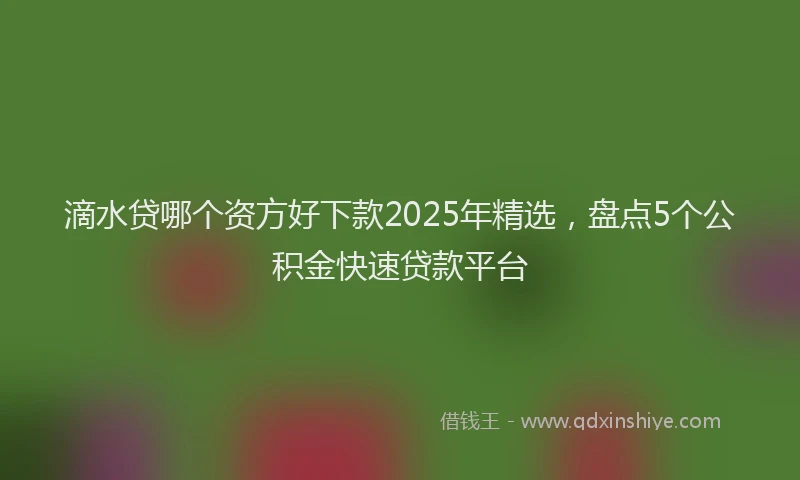 滴水贷哪个资方好下款2025年精选，盘点5个公积金快速贷款平台
