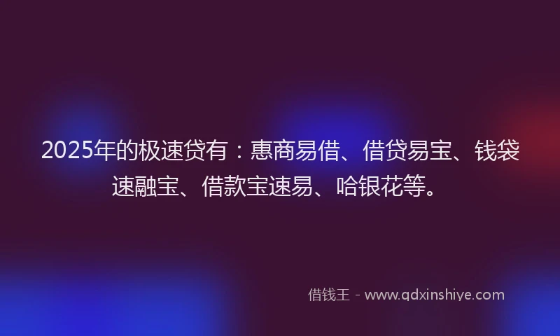 2025年的极速贷有：惠商易借、借贷易宝、钱袋速融宝、借款宝速易、哈银花等。
