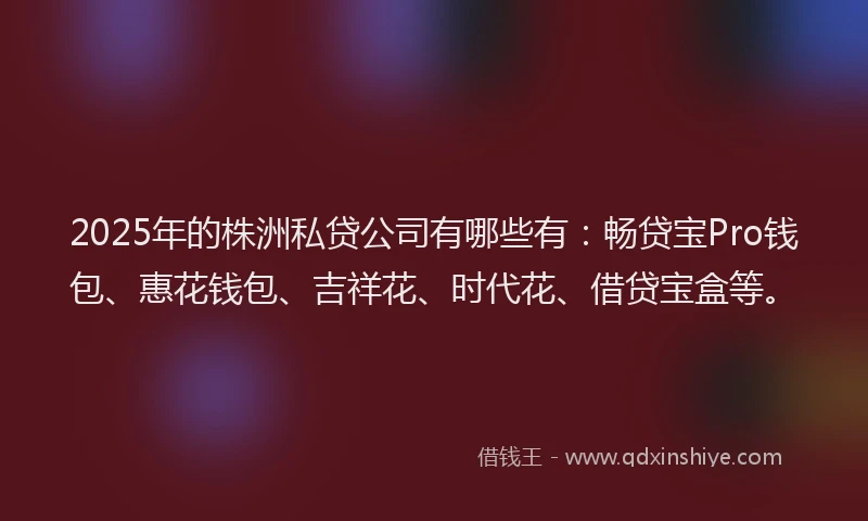 2025年的株洲私贷公司有哪些有：畅贷宝Pro钱包、惠花钱包、吉祥花、时代花、借贷宝盒等。