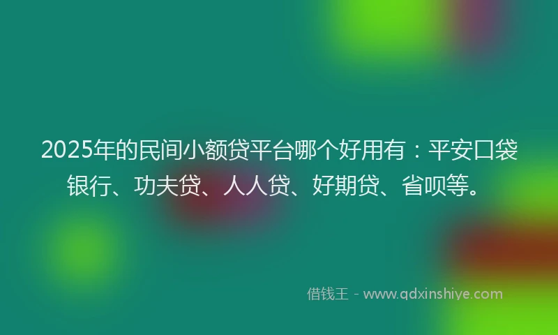 2025年的民间小额贷平台哪个好用有：平安口袋银行、功夫贷、人人贷、好期贷、省呗等。