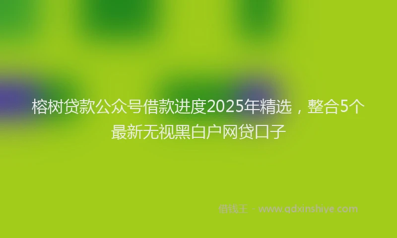 榕树贷款公众号借款进度2025年精选，整合5个最新无视黑白户网贷口子
