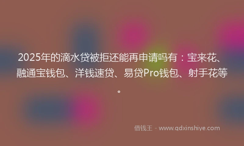 2025年的滴水贷被拒还能再申请吗有：宝来花、融通宝钱包、洋钱速贷、易贷Pro钱包、射手花等。