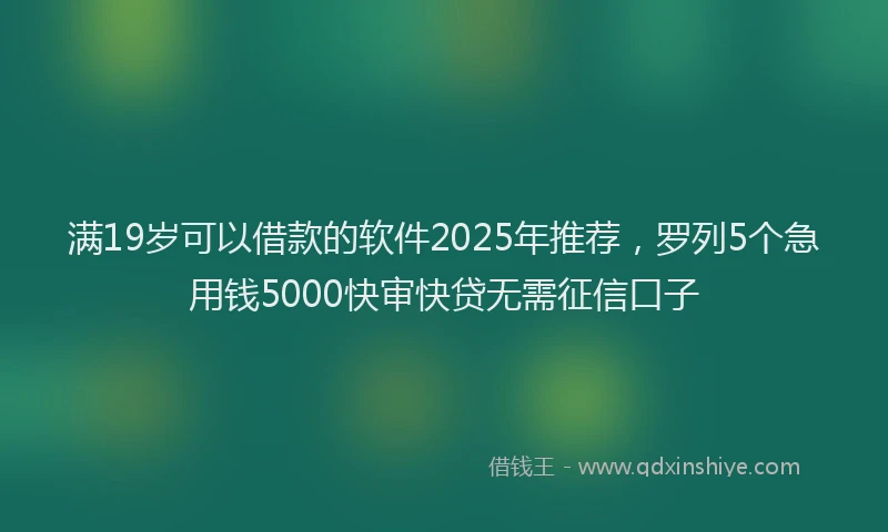 满19岁可以借款的软件2025年推荐，罗列5个急用钱5000快审快贷无需征信口子