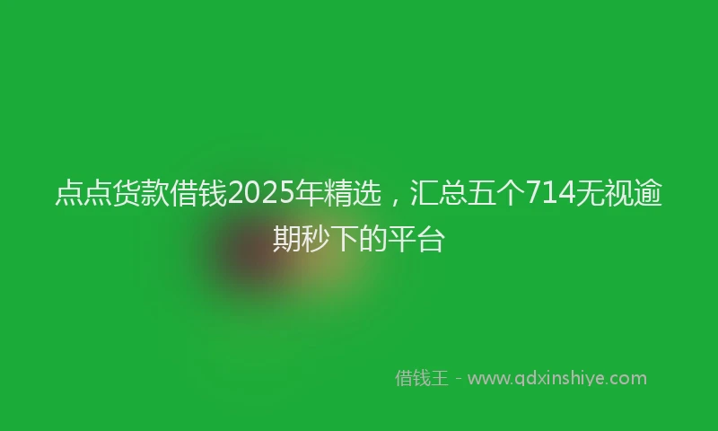 点点货款借钱2025年精选，汇总五个714无视逾期秒下的平台