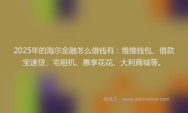 2025年的海尔金融怎么借钱有：维维钱包、借款宝速贷、宅租机、惠享花花、大利商城等。