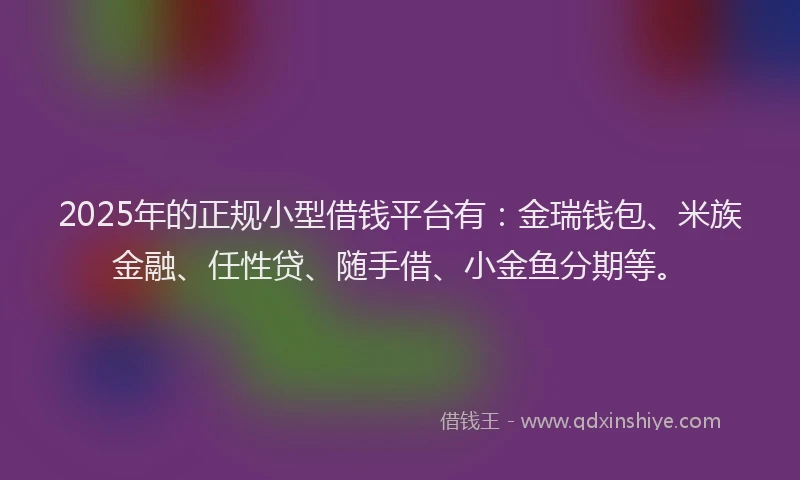 2025年的正规小型借钱平台有：金瑞钱包、米族金融、任性贷、随手借、小金鱼分期等。