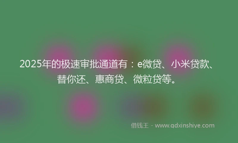 2025年的极速审批通道有：e微贷、小米贷款、替你还、惠商贷、微粒贷等。