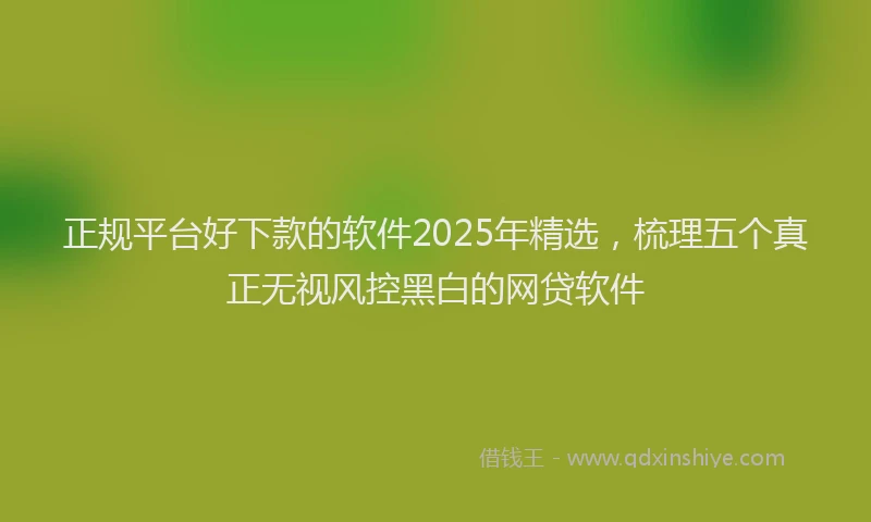 正规平台好下款的软件2025年精选，梳理五个真正无视风控黑白的网贷软件