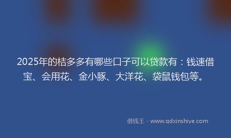 2025年的桔多多有哪些口子可以贷款有：钱速借宝、会用花、金小豚、大洋花、袋鼠钱包等。