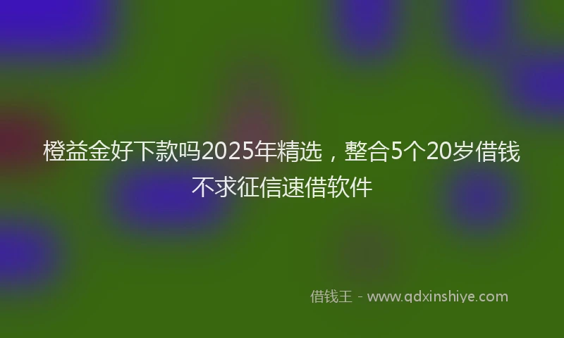 橙益金好下款吗2025年精选，整合5个20岁借钱不求征信速借软件