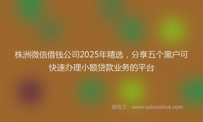 株洲微信借钱公司2025年精选，分享五个黑户可快速办理小额贷款业务的平台