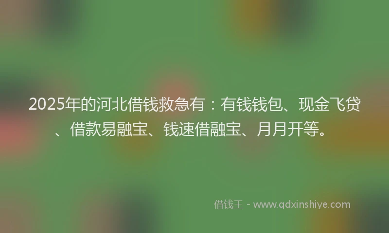 2025年的河北借钱救急有：有钱钱包、现金飞贷、借款易融宝、钱速借融宝、月月开等。