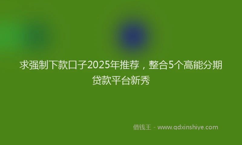 求强制下款口子2025年推荐，整合5个高能分期贷款平台新秀
