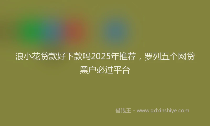 浪小花贷款好下款吗2025年推荐，罗列五个网贷黑户必过平台
