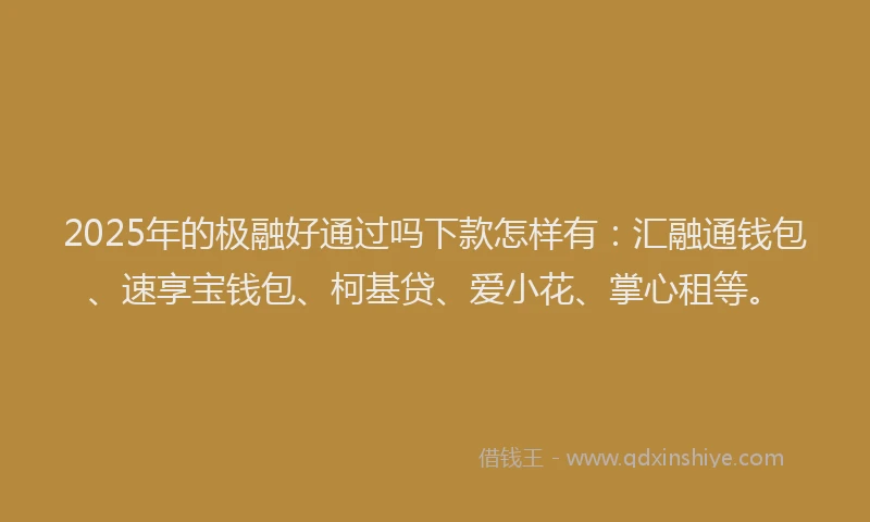 2025年的极融好通过吗下款怎样有：汇融通钱包、速享宝钱包、柯基贷、爱小花、掌心租等。