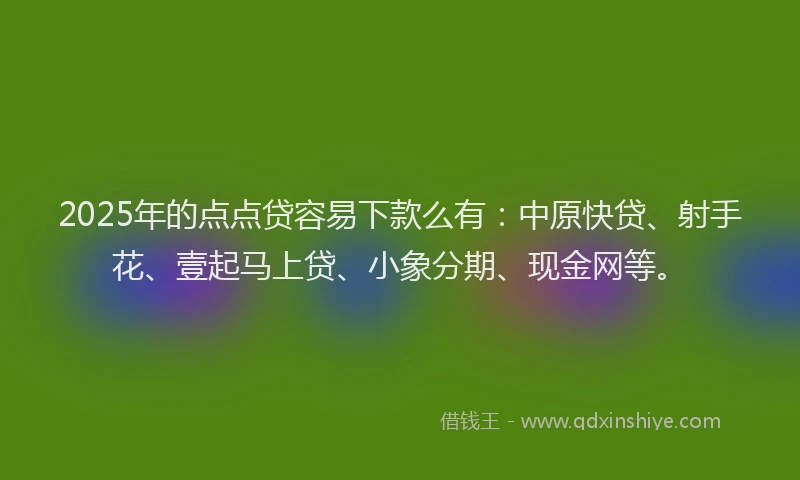 2025年的点点贷容易下款么有：中原快贷、射手花、壹起马上贷、小象分期、现金网等。