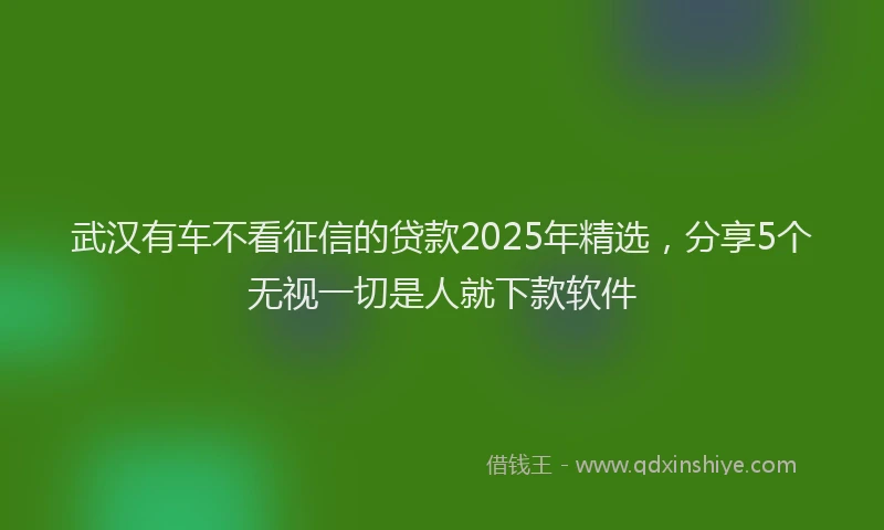 武汉有车不看征信的贷款2025年精选，分享5个无视一切是人就下款软件