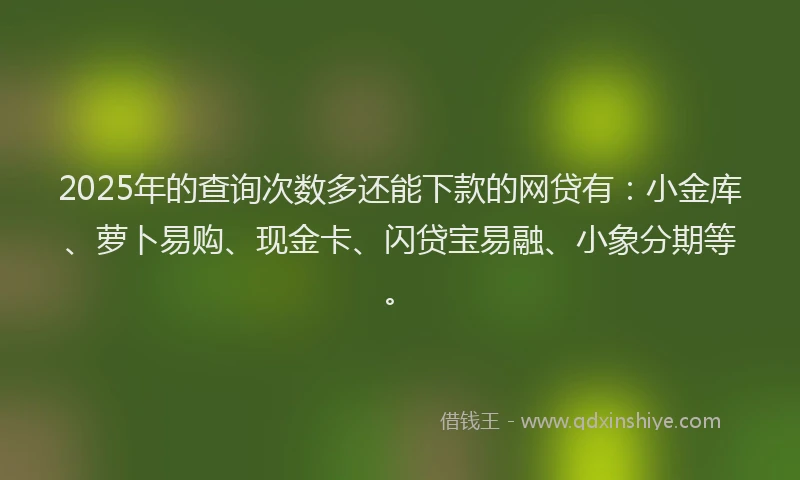 2025年的查询次数多还能下款的网贷有：小金库、萝卜易购、现金卡、闪贷宝易融、小象分期等。