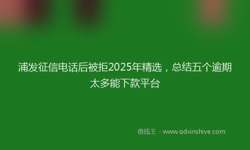 浦发征信电话后被拒2025年精选，总结五个逾期太多能下款平台