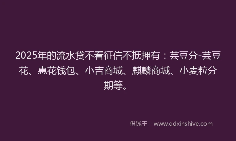 2025年的流水贷不看征信不抵押有：芸豆分-芸豆花、惠花钱包、小吉商城、麒麟商城、小麦粒分期等。