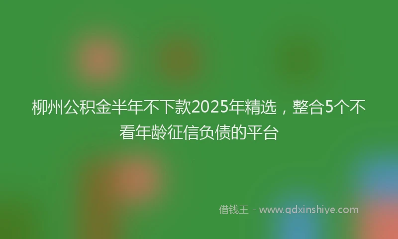 柳州公积金半年不下款2025年精选，整合5个不看年龄征信负债的平台