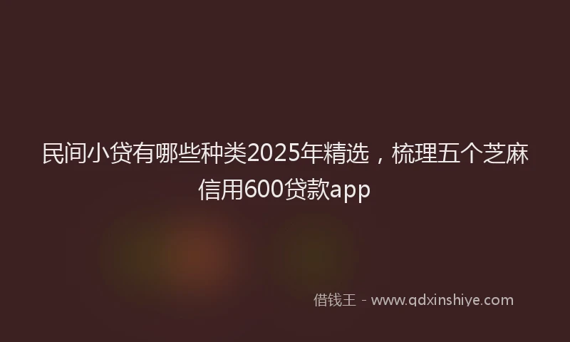 民间小贷有哪些种类2025年精选，梳理五个芝麻信用600贷款app