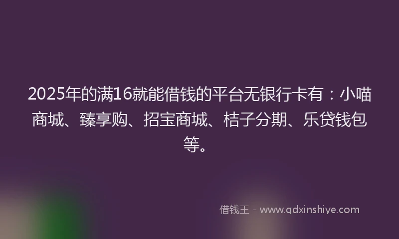 2025年的满16就能借钱的平台无银行卡有：小喵商城、臻享购、招宝商城、桔子分期、乐贷钱包等。