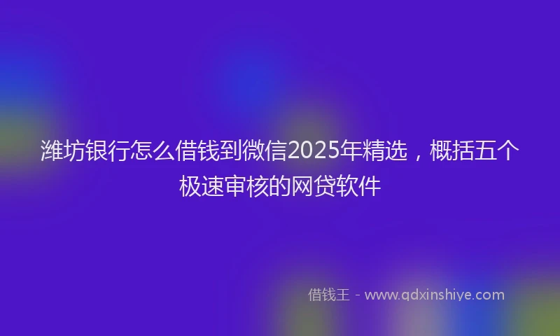 潍坊银行怎么借钱到微信2025年精选，概括五个极速审核的网贷软件