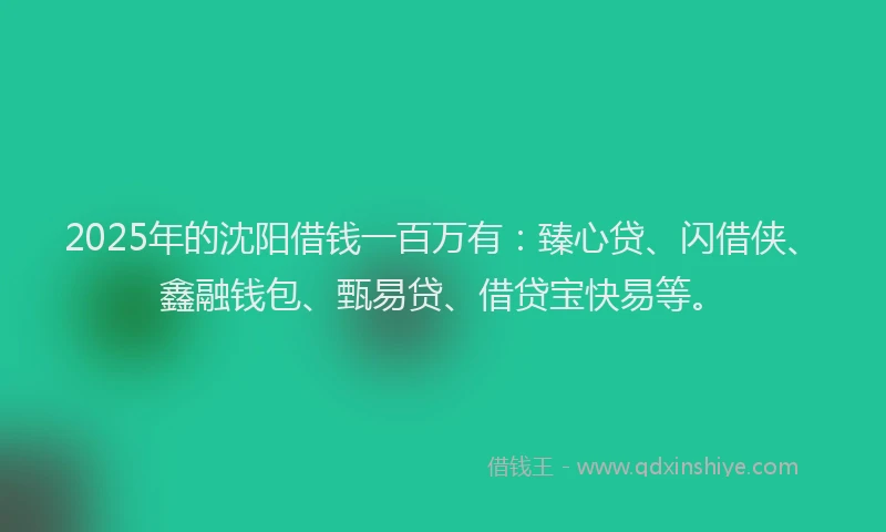 2025年的沈阳借钱一百万有：臻心贷、闪借侠、鑫融钱包、甄易贷、借贷宝快易等。