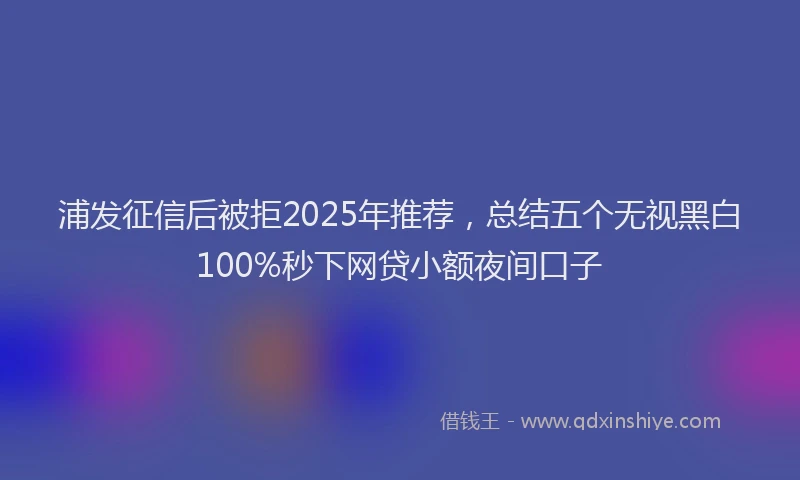 浦发征信后被拒2025年推荐，总结五个无视黑白100%秒下网贷小额夜间口子