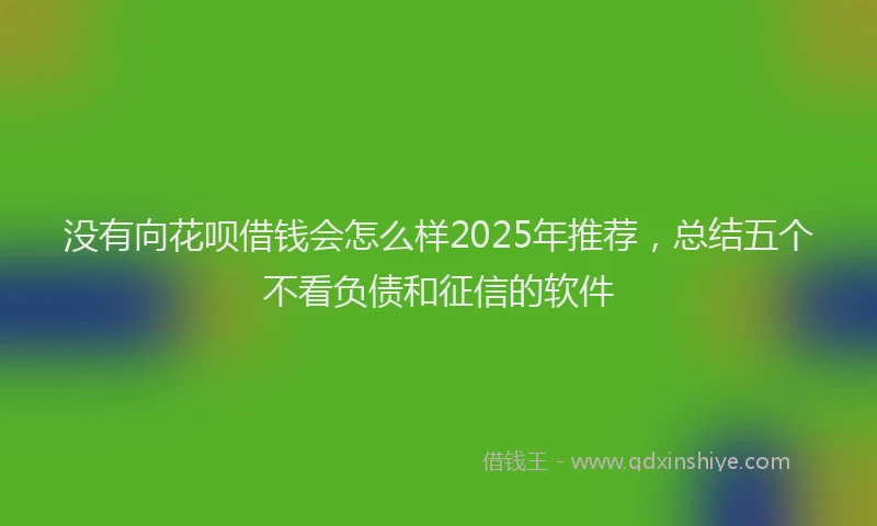 没有向花呗借钱会怎么样2025年推荐，总结五个不看负债和征信的软件
