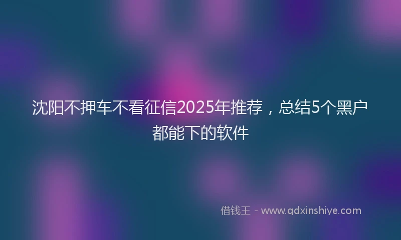 沈阳不押车不看征信2025年推荐，总结5个黑户都能下的软件