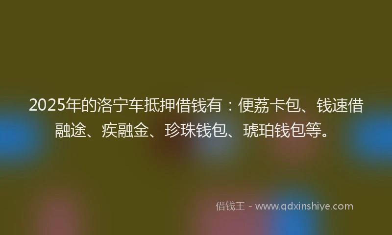 2025年的洛宁车抵押借钱有：便荔卡包、钱速借融途、疾融金、珍珠钱包、琥珀钱包等。