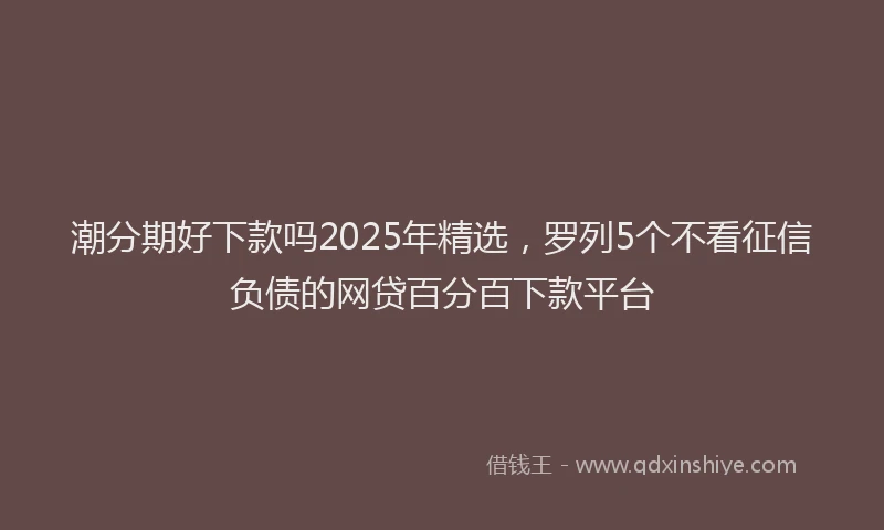 潮分期好下款吗2025年精选，罗列5个不看征信负债的网贷百分百下款平台