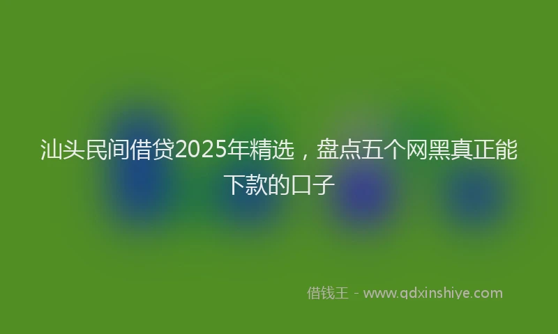 汕头民间借贷2025年精选，盘点五个网黑真正能下款的口子