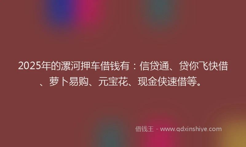 2025年的漯河押车借钱有：信贷通、贷你飞快借、萝卜易购、元宝花、现金侠速借等。