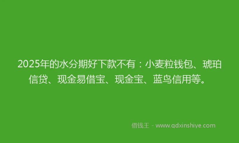 2025年的水分期好下款不有：小麦粒钱包、琥珀信贷、现金易借宝、现金宝、蓝鸟信用等。