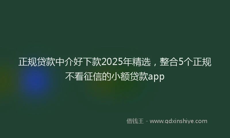 正规贷款中介好下款2025年精选，整合5个正规不看征信的小额贷款app