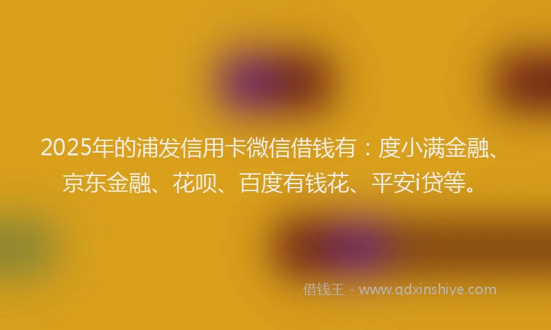 2025年的浦发信用卡微信借钱有：度小满金融、京东金融、花呗、百度有钱花、平安i贷等。