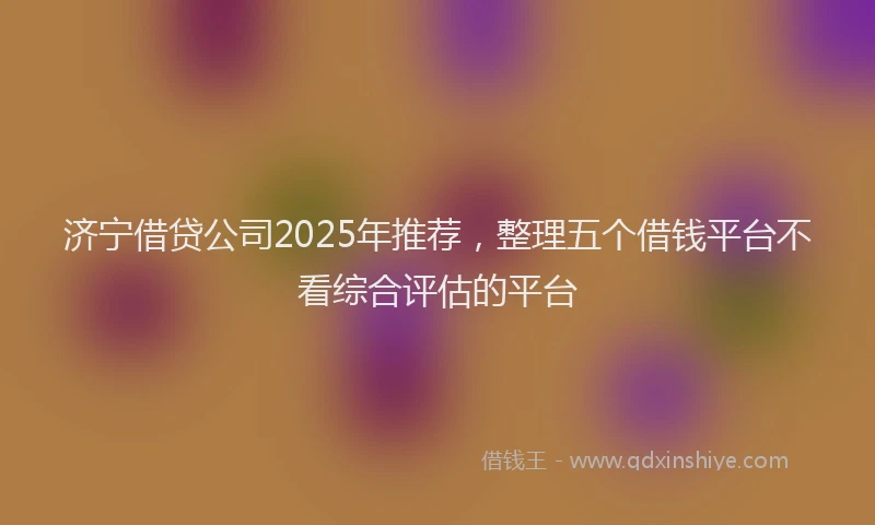 济宁借贷公司2025年推荐，整理五个借钱平台不看综合评估的平台