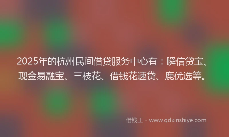 2025年的杭州民间借贷服务中心有：瞬信贷宝、现金易融宝、三枝花、借钱花速贷、鹿优选等。