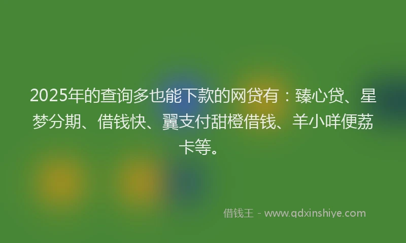 2025年的查询多也能下款的网贷有：臻心贷、星梦分期、借钱快、翼支付甜橙借钱、羊小咩便荔卡等。