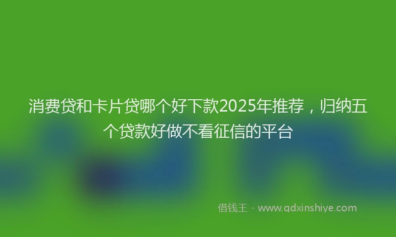 消费贷和卡片贷哪个好下款2025年推荐，归纳五个贷款好做不看征信的平台