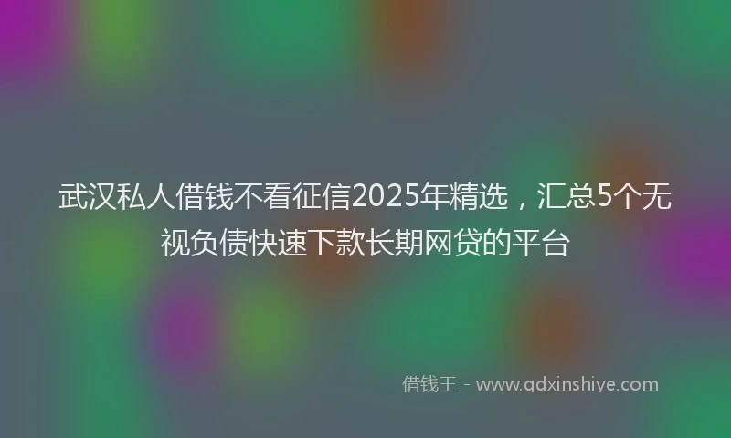 武汉私人借钱不看征信2025年精选，汇总5个无视负债快速下款长期网贷的平台