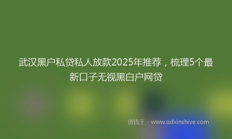 武汉黑户私贷私人放款2025年推荐，梳理5个最新口子无视黑白户网贷