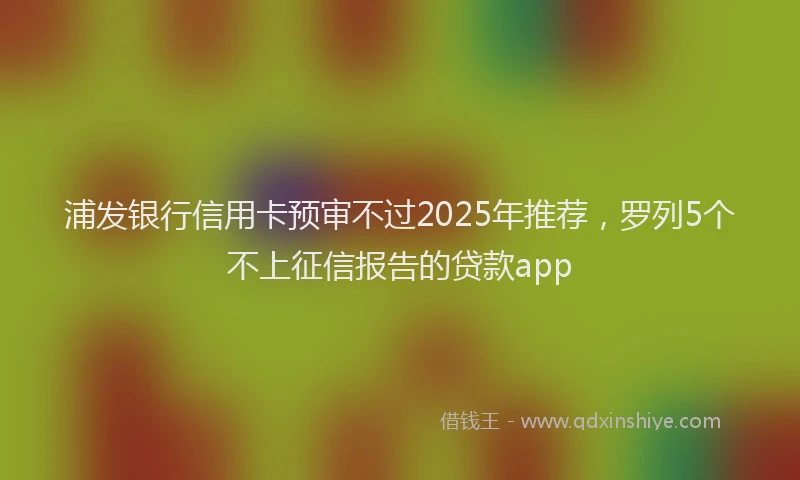 浦发银行信用卡预审不过2025年推荐，罗列5个不上征信报告的贷款app