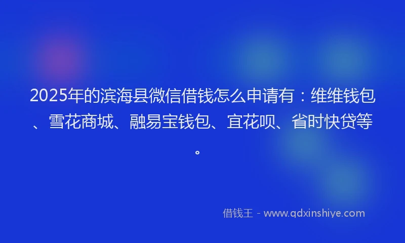 2025年的滨海县微信借钱怎么申请有：维维钱包、雪花商城、融易宝钱包、宜花呗、省时快贷等。